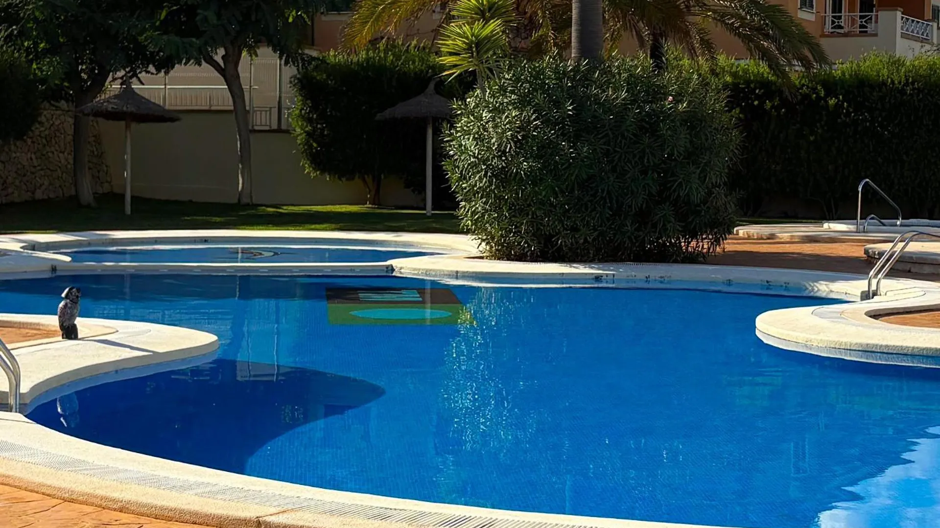 Traumhafte Familien-Ferienwohnung Mit Dachterrasse & Pool Calas de Mallorca Apartamento